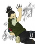 Shikamaru