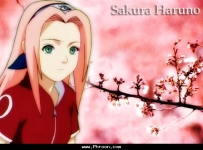 sakura