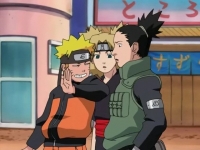 ShikaTema