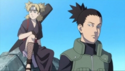 ShikaTema