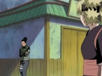 ShikaTema