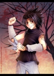 sasuke