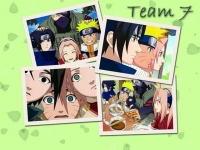 team7