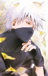 Kakashi