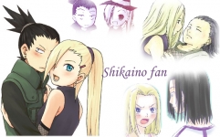 shikaxino