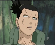 Shikamaru