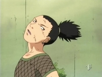 Shikamaru