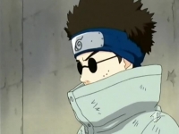 shino