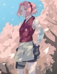 sakura