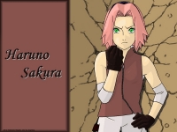 sakura