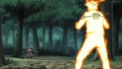 Naruto-Shippuuden-episode-315-screenshot-049.jpg
